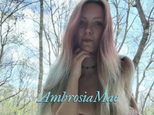 AmbrosiaMae