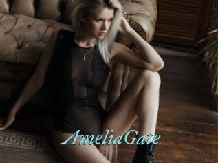 AmeliaGate