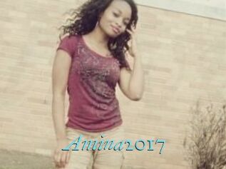 Amina2017