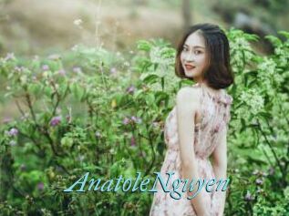AnatoleNguyen