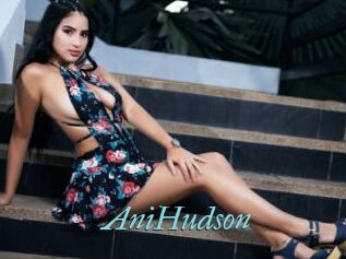 AniHudson