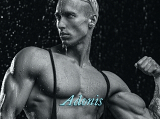Adonis_