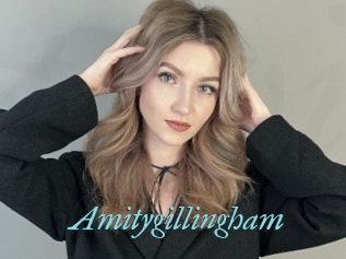 Amitygillingham