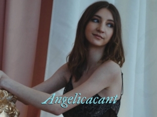 Angelicacant