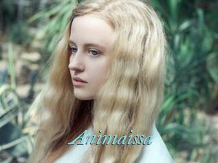 Animaissa