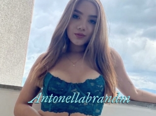 Antonellabrandm