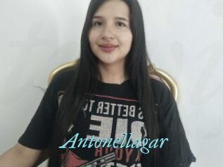 Antonellagar