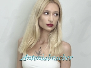 Antoniabracher