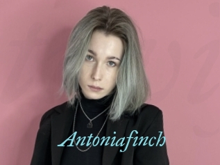 Antoniafinch