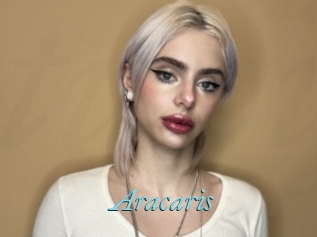 Aracaris
