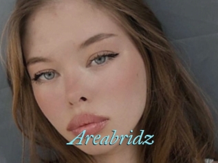 Areabridz