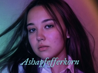 Ashapfefferkorn