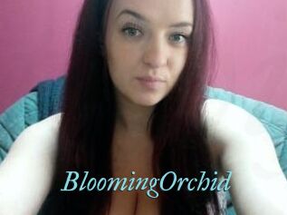 BloomingOrchid