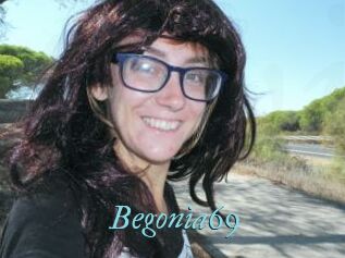 Begonia69