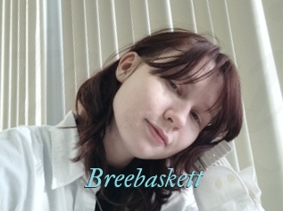 Breebaskett