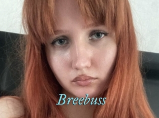 Breebuss
