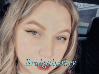 Bridgetharkey
