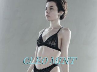 CLEO_MINT