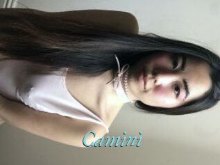 Camini