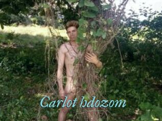 Carlot_hdozom