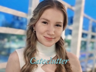 Cateclutter