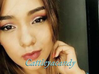 Cattleyacandy