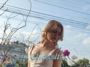 Chloecolts