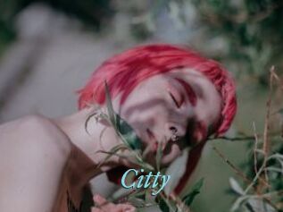 Citty
