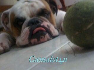 Cumalot4u