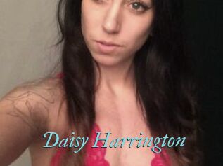 Daisy_Harrington