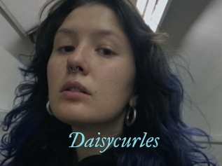 Daisycurles