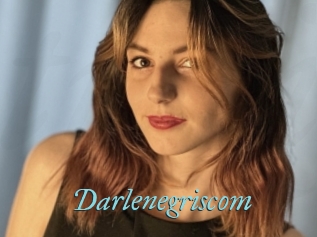 Darlenegriscom