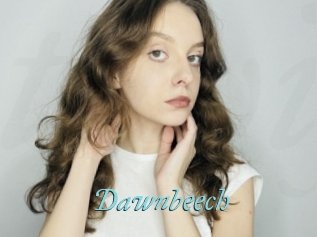 Dawnbeech