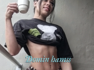Domin_hamss