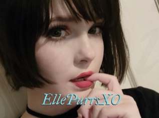 EllePurrsXO