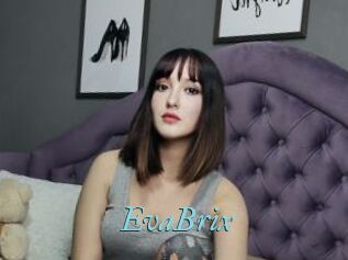 EvaBrix