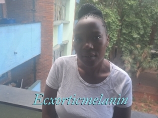Ecxorticmelanin