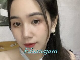 Elisanajam