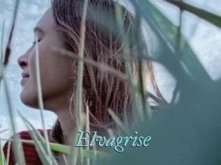 Elvagrise