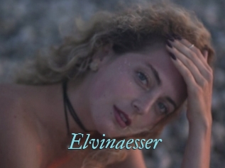 Elvinaesser