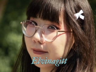 Elvinagitt