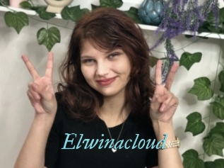 Elwinacloud