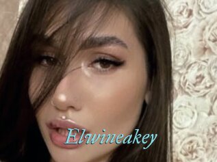 Elwineakey