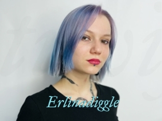 Erlinadiggle