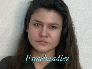 Esmehandley