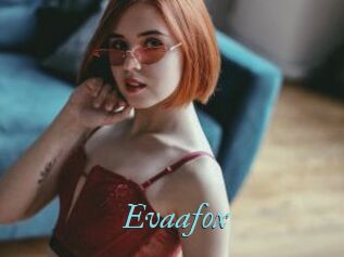 Evaafox