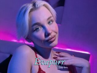 Evapurr