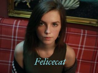 Felicecat