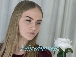 Felicedwinell