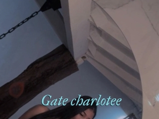 Gate_charlotee